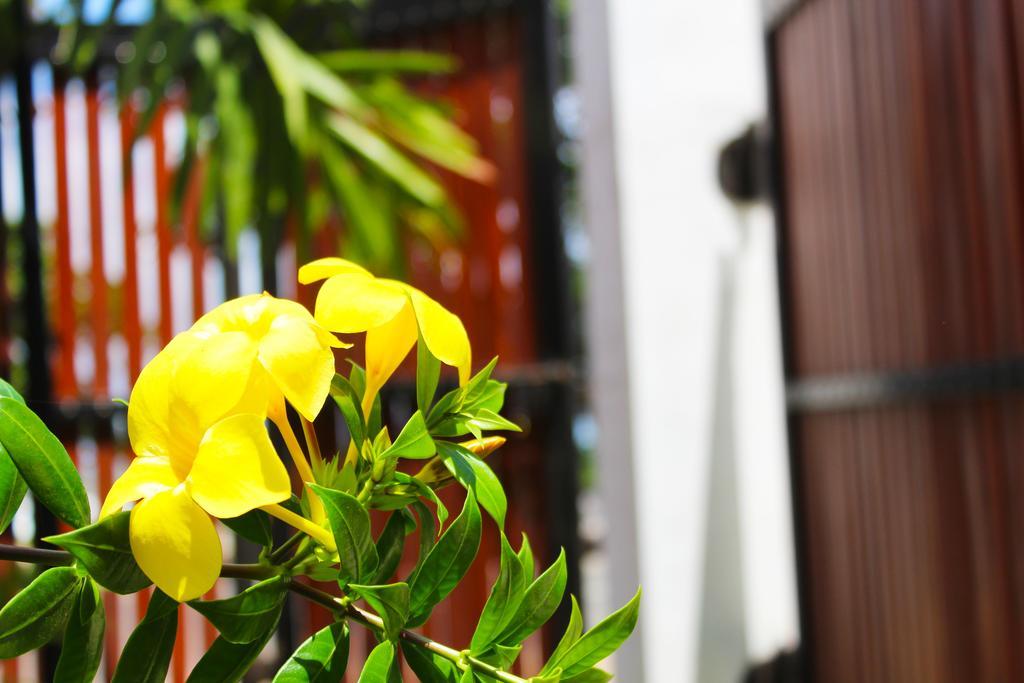 Surasa Beach Resort Weligama Dış mekan fotoğraf